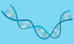 Sei diventato tuo padre